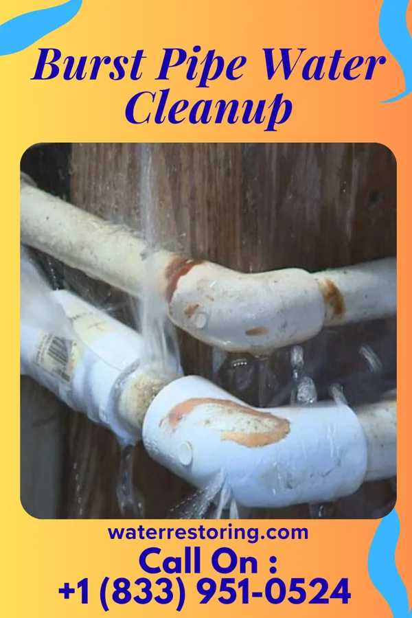Burst Pipe Water Cleanup in Fair Haven, NY