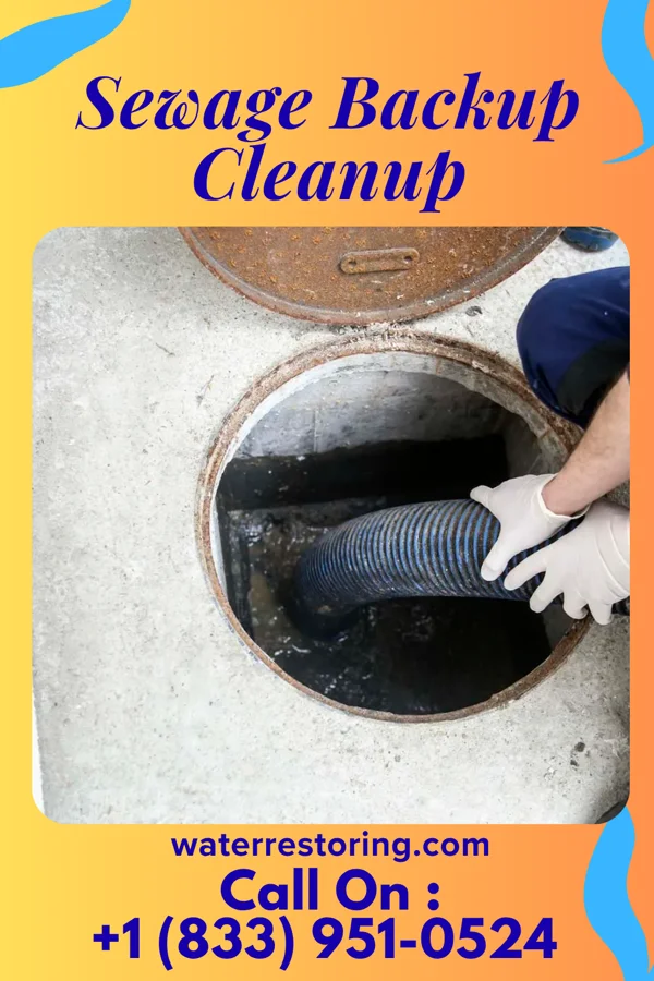 Sewage Backup Cleanup in Fair Haven, NY